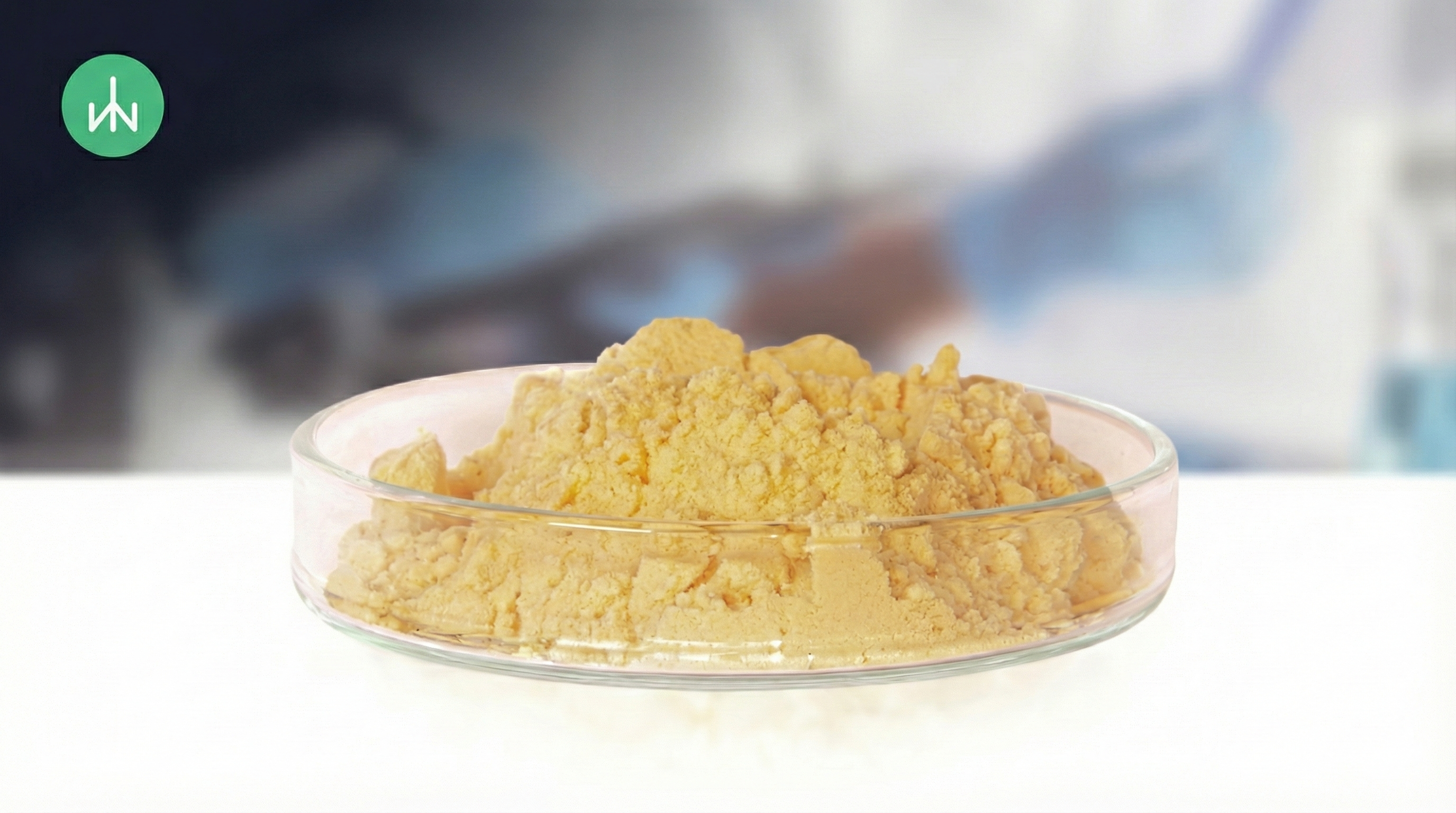 HUEVOS DESHIDRATADOS